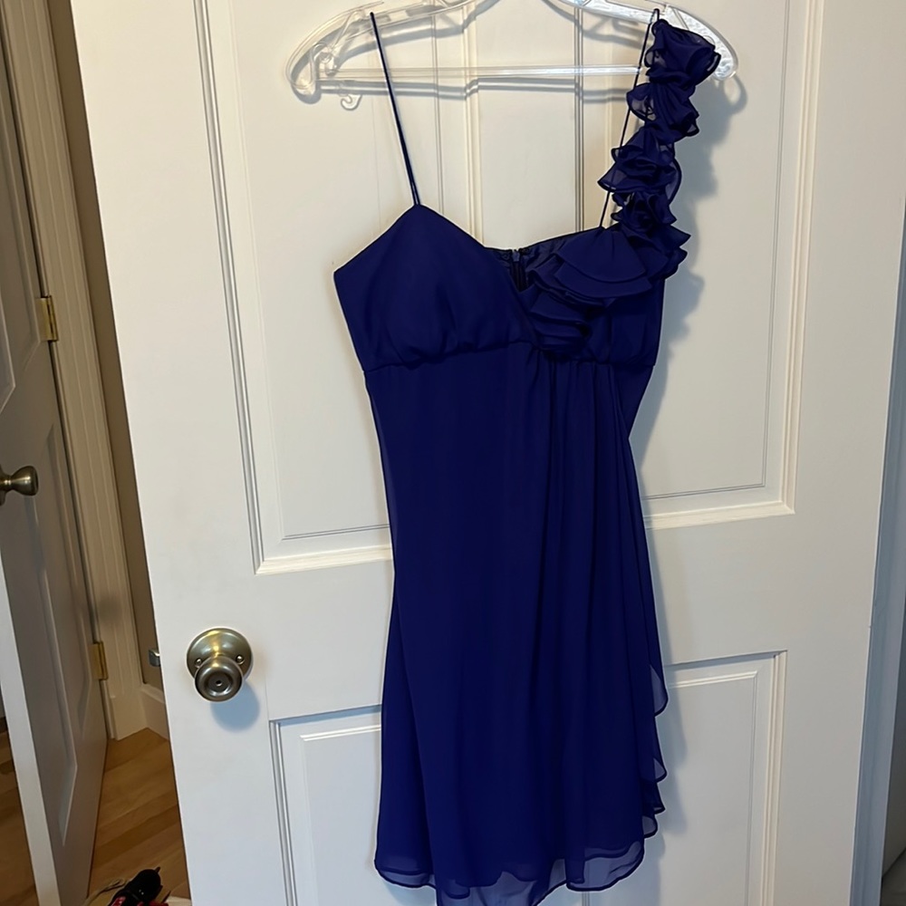 Dark Purple Liliana Mini Dress